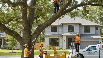 Arborist pruning tree branches in Indianapolis IN for safe, healthy growth by Chop Chop Tree
